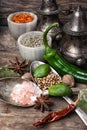 Choice Indian spice Royalty Free Stock Photo