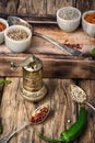 Choice Indian spice Royalty Free Stock Photo