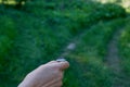 Choice of solution. Tossing a coin at a fork in a forest path Royalty Free Stock Photo