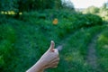 Choice of solution. Tossing a coin at a fork in a forest path Royalty Free Stock Photo