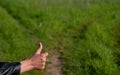 Choice of solution. Tossing a coin at a fork in a forest path Royalty Free Stock Photo