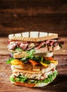 Choice of tasty toasted sandwiches Royalty Free Stock Photo