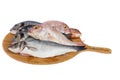 Choise of fresh fish Royalty Free Stock Photo