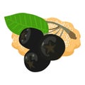 Chokeberry dessert icon isometric vector. Fresh ripe chokeberry and fruit cookie