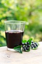 Chokeberry juice Royalty Free Stock Photo