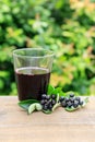 Chokeberry juice Royalty Free Stock Photo