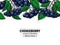 Chokeberry vector drawing. Hand drawn botanical template with berries and leaves.