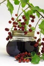 Chokecherry Jam Royalty Free Stock Photo