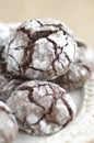 Chokolate crinkles cookies Royalty Free Stock Photo