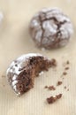 Chokolate crinkles cookies Royalty Free Stock Photo