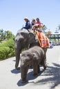 CHOLBURI THAILAND - AUGUST11 : children and family riding on elephant back and walking around Saun Nongnuch Park important