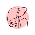 Cholelithiasis liver color line icon. Human diseases.
