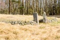 Cholera burial ground