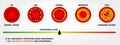 Realistic type of cholesterol in artery isolated. eps vector.