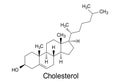 Cholesterol chemical formula, structure of molecule Royalty Free Stock Photo