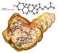 Cholesterol molecule