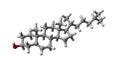 Cholesterol molecule