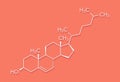 Cholesterol molecule. Essential component of cell membranes and precursor of steroid hormones, bile acids and vitamin D. Skeletal