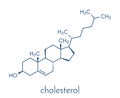 Cholesterol molecule. Essential component of cell membranes and precursor of steroid hormones, bile acids and vitamin D. Skeletal.