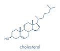 Cholesterol molecule. Essential component of cell membranes and precursor of steroid hormones, bile acids and vitamin D. Skeletal.