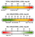 Cholesterol