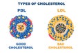 Cholesterol Types Set Royalty Free Stock Photo