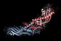 Cholesteryl ester transfer protein (CETP), 3D rendering. Potential drug target in atherosclerosis therapy. Cartoon & wireframe Royalty Free Stock Photo