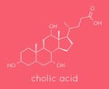 Cholic acid cholate molecule. Main bile acid component. Skeletal formula.