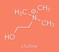 Choline essential nutrient molecule. Skeletal formula. Royalty Free Stock Photo