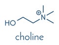 Choline essential nutrient molecule. Skeletal formula. Royalty Free Stock Photo