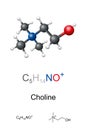 Choline, ball-and-stick model, molecular and chemical formula Royalty Free Stock Photo