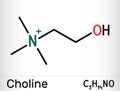 Choline vitamin-like essential nutrien molecule. It is Vitamin B4. Skeletal chemical formula. Vector