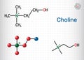 Choline vitamin-like essential nutrien molecule. It is a constituent of lecithin. Structural chemical formula and molecule model.