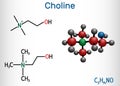 Choline vitamin-like essential nutrien molecule. It is a constituent of lecithin. Structural chemical formula and molecule model Royalty Free Stock Photo