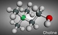 Choline vitamin-like essential nutrien molecule. It is Vitamin B4. Molecular model. 3D rendering Royalty Free Stock Photo