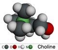 Choline vitamin-like essential nutrien molecule. It is Vitamin B4. Molecular model. 3D rendering Royalty Free Stock Photo