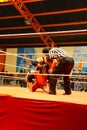 Cholita male wrestler Royalty Free Stock Photo