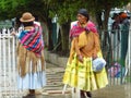 Cholita Royalty Free Stock Photo