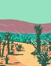 Cholla Cactus Garden Nature Trail near Desert Hot Springs located in Joshua Tree National Park in California WPA Poster Art