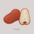 Chompoo, rose apple exotic fruit whole and cut Royalty Free Stock Photo