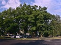 Chomutov, Czech republic - June 10, 2018: big trees and cars on parking lot for tourist leading to Kamencove jezero alum lake at e