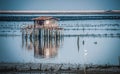 Chonburi Beach, Pllee Pier, where local fishing boats will be filled with oyster farms in Chalbury, Thailand