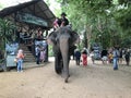 Elephant trekking tour of Pattaya Elephant Village in Chonburi, Thailand.