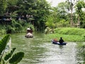 Elephant trekking tour of Pattaya Elephant Village in Chonburi, Thailand.