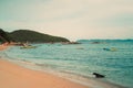 Chonburi, Thailand - July 07 2022 Thong lang beach with dog. Beautiful landscape and seascape of Koh Larn Island