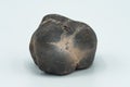 Chondrite Meteorite isolated, a piece of rock formed in outer space in the early stages of Solar System as asteroids. This meteori