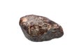 Chondrite meteorite on white background
