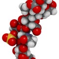 Chondroitin sulphate short fragment. Important component of cartilage. Used as dietary supplement in treatment of osteoarthritis Royalty Free Stock Photo