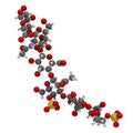 Chondroitin sulphate short fragment. Important component of cartilage. Used as dietary supplement in treatment of osteoarthritis Royalty Free Stock Photo