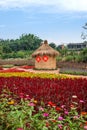 Chongqing Banan flowers world garden full of flowers in full bloom